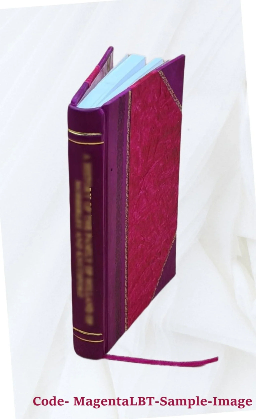 Condensed temperance facts for Christians : with remarks on ancient and modern wines and malt liquors 1868 [Leather Bound]