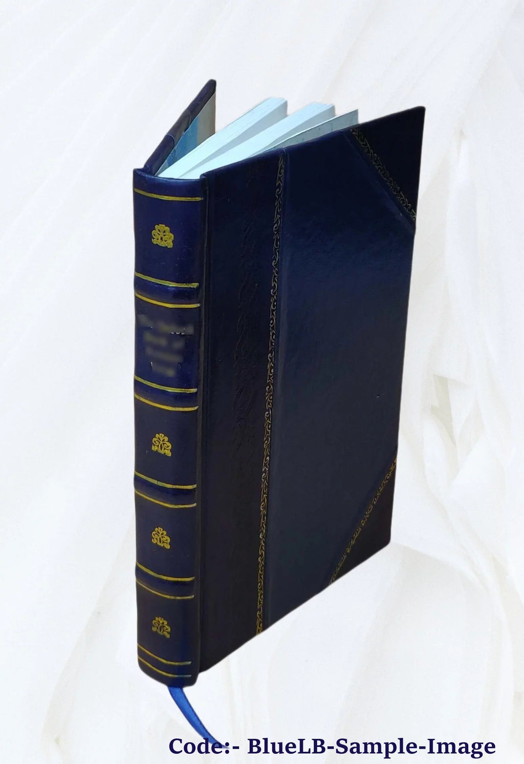Collections towards illustrating the biography of the Scotch, English, and Irish members of the Society of Jesus 1838 [Leather Bound]