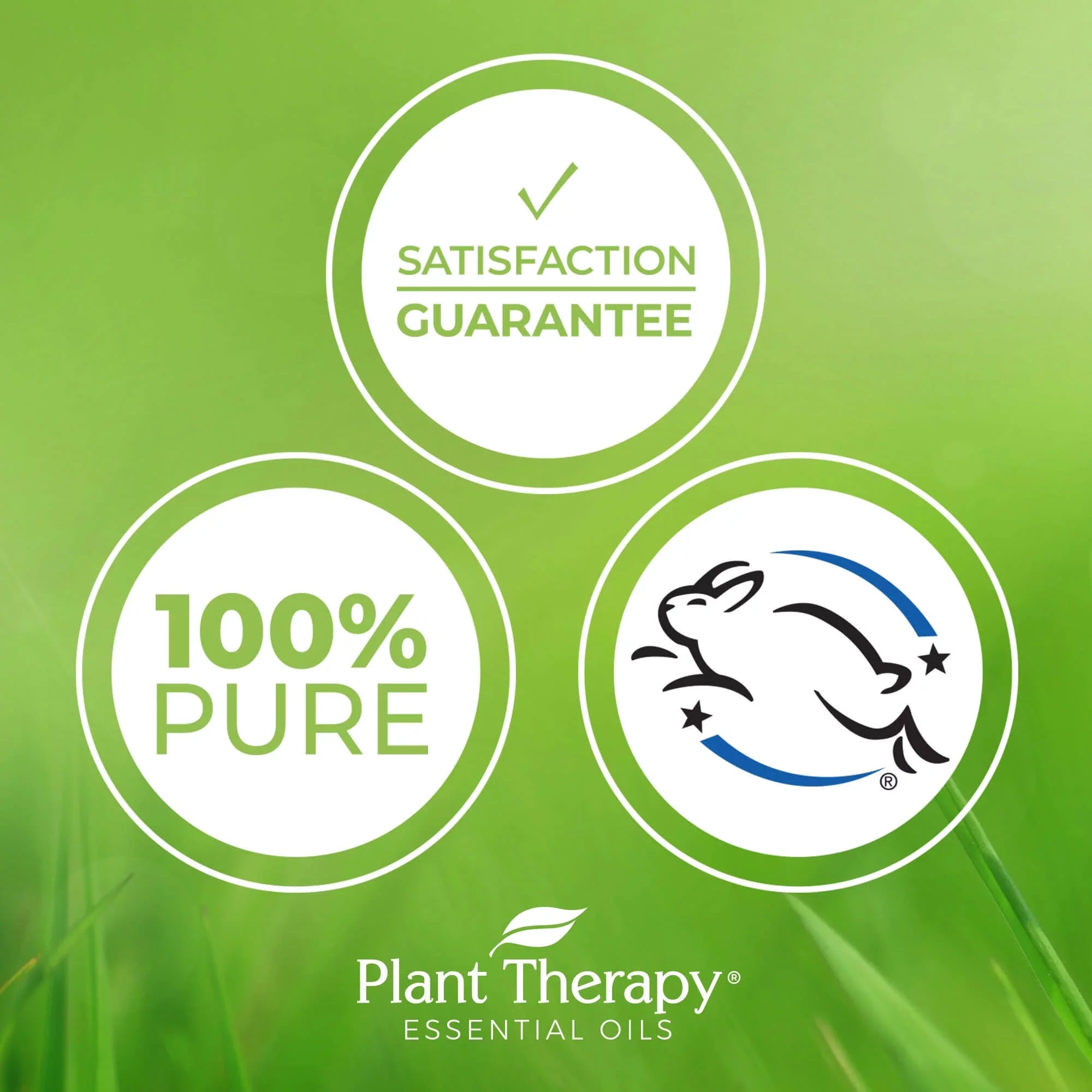 Plant Therapy Facial Serum with Vitamin C & Hyaluronic Acid 4 oz with Hyaluronic Acid, Ferulic Acid, and Vitamin E, Reduces the Appearance of Fine Lines & Wrinkles