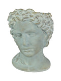 Mayrich Gray Cement Greek Warrior Bust Planter 9.25 in x, 6.75 in x 7.25 in