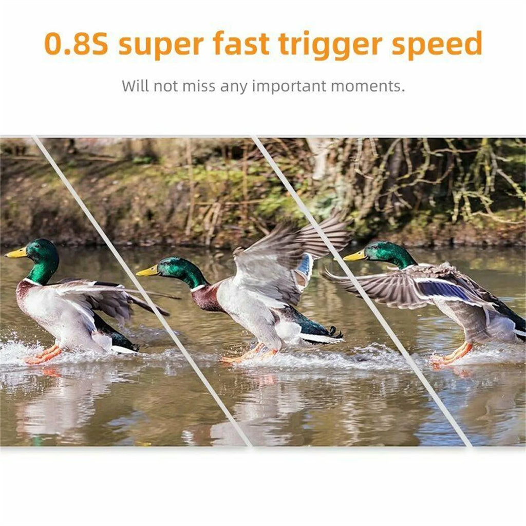 QIYAA Outdoor Hunting Camera 12Mp 720P Wild Animal Detector Trail Camera Waterproof Monitoring Night Vision Wildlife Monitoring