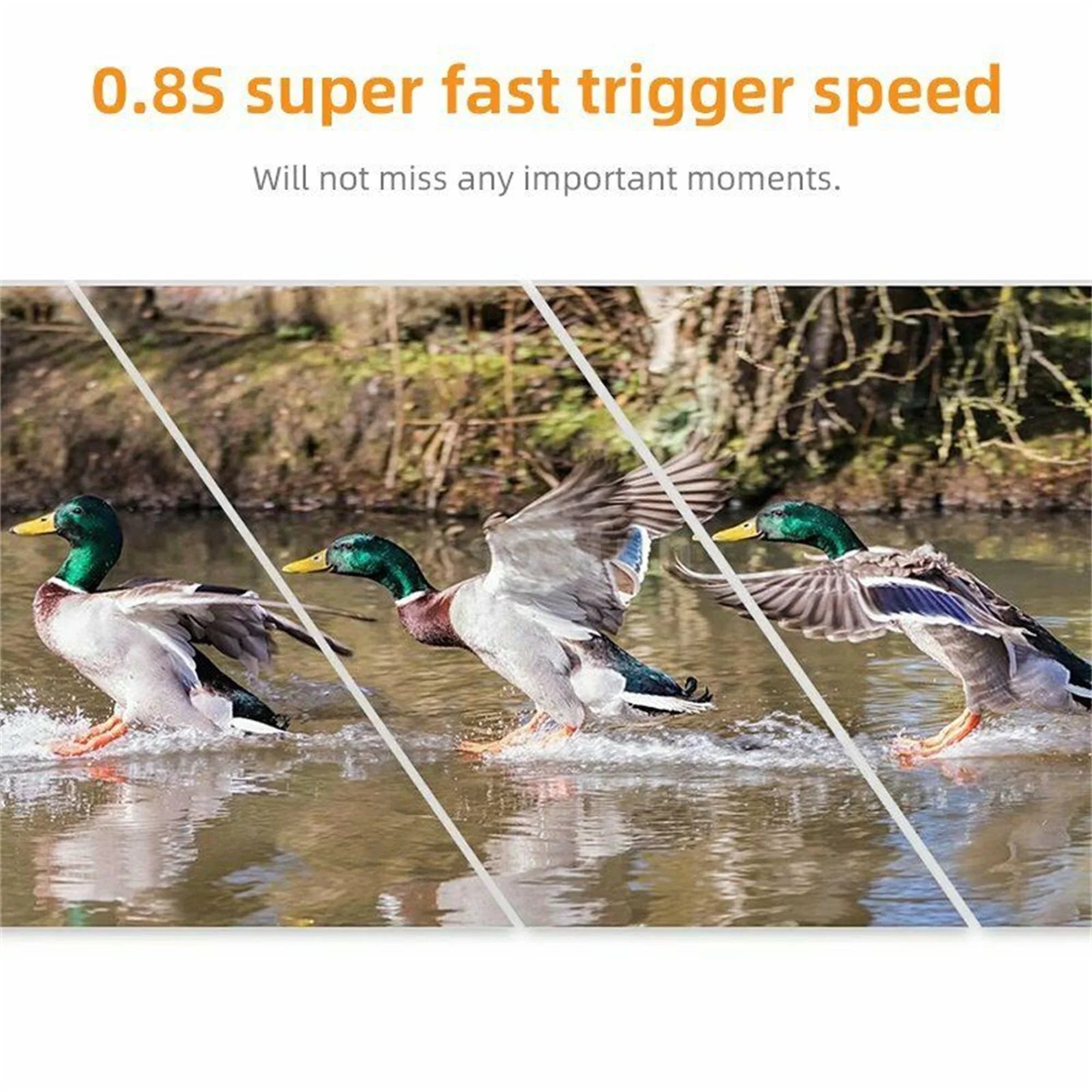 QIYAA Outdoor Hunting Camera 12Mp 720P Wild Animal Detector Trail Camera Waterproof Monitoring Night Vision Wildlife Monitoring
