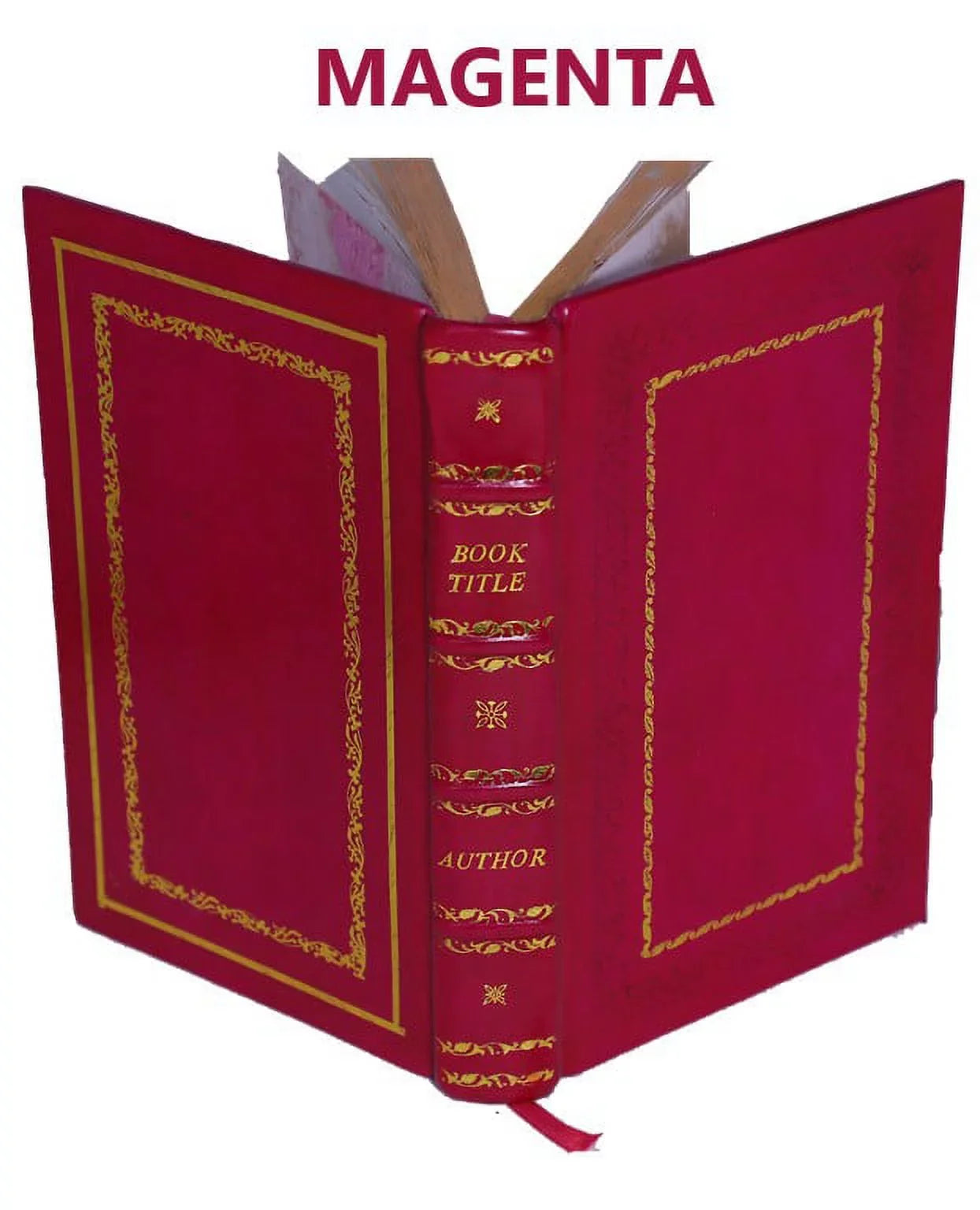 Les Vies des S.S. Peres des deserts et saintes solitaires d'Orient et d'Occident Volume 3 1714 [Premium Leather Bound]