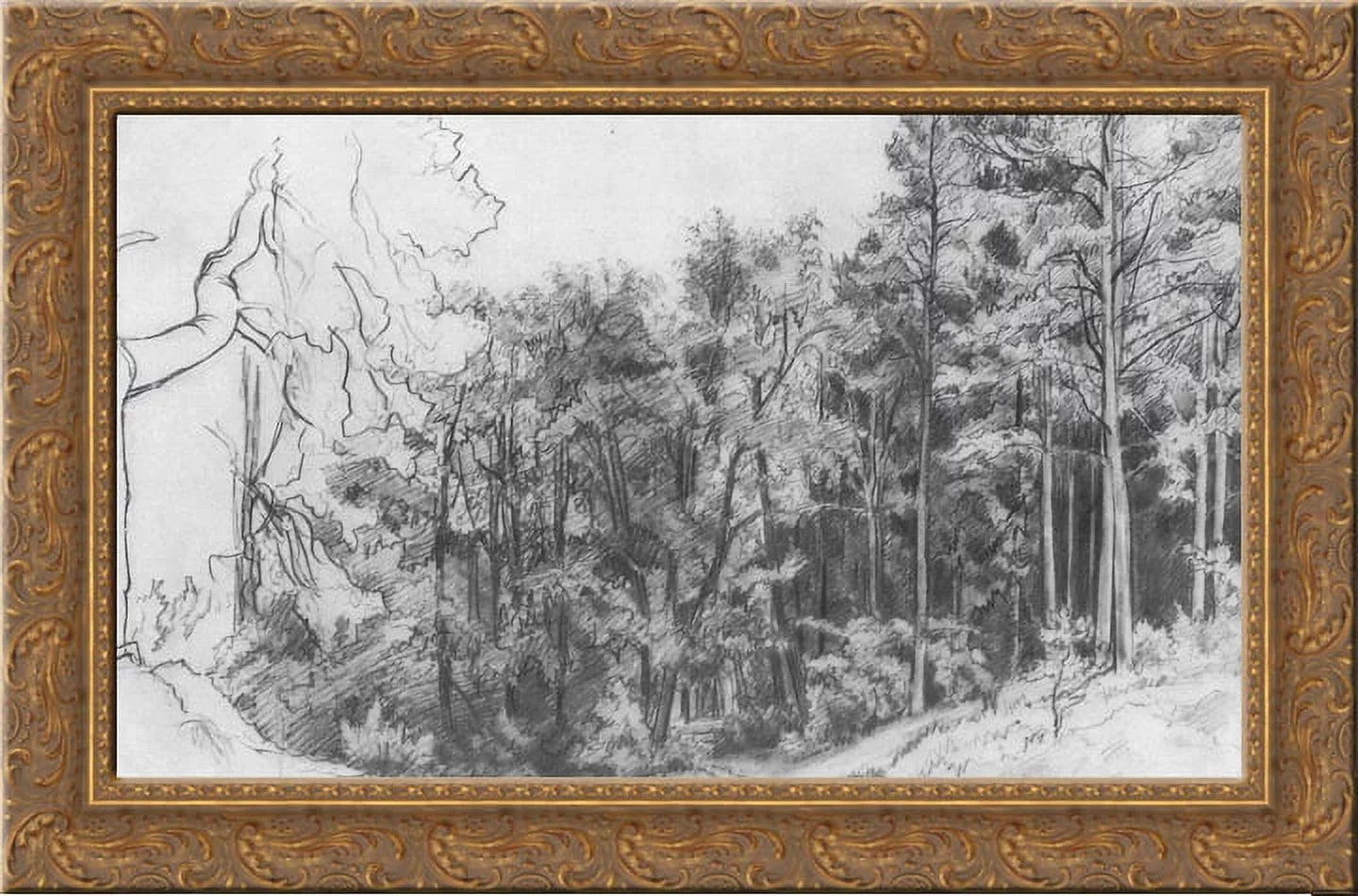 Deciduous Forest 24x18 Gold Ornate Wood Framed Canvas Art by Ivan Shishkin